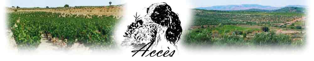 Accs